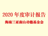 海南三亚南山功德基金会2020年度财务工作报告